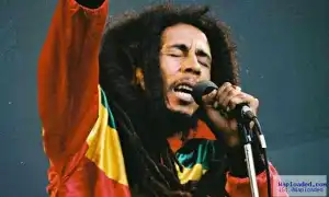 Bob marley - Survival